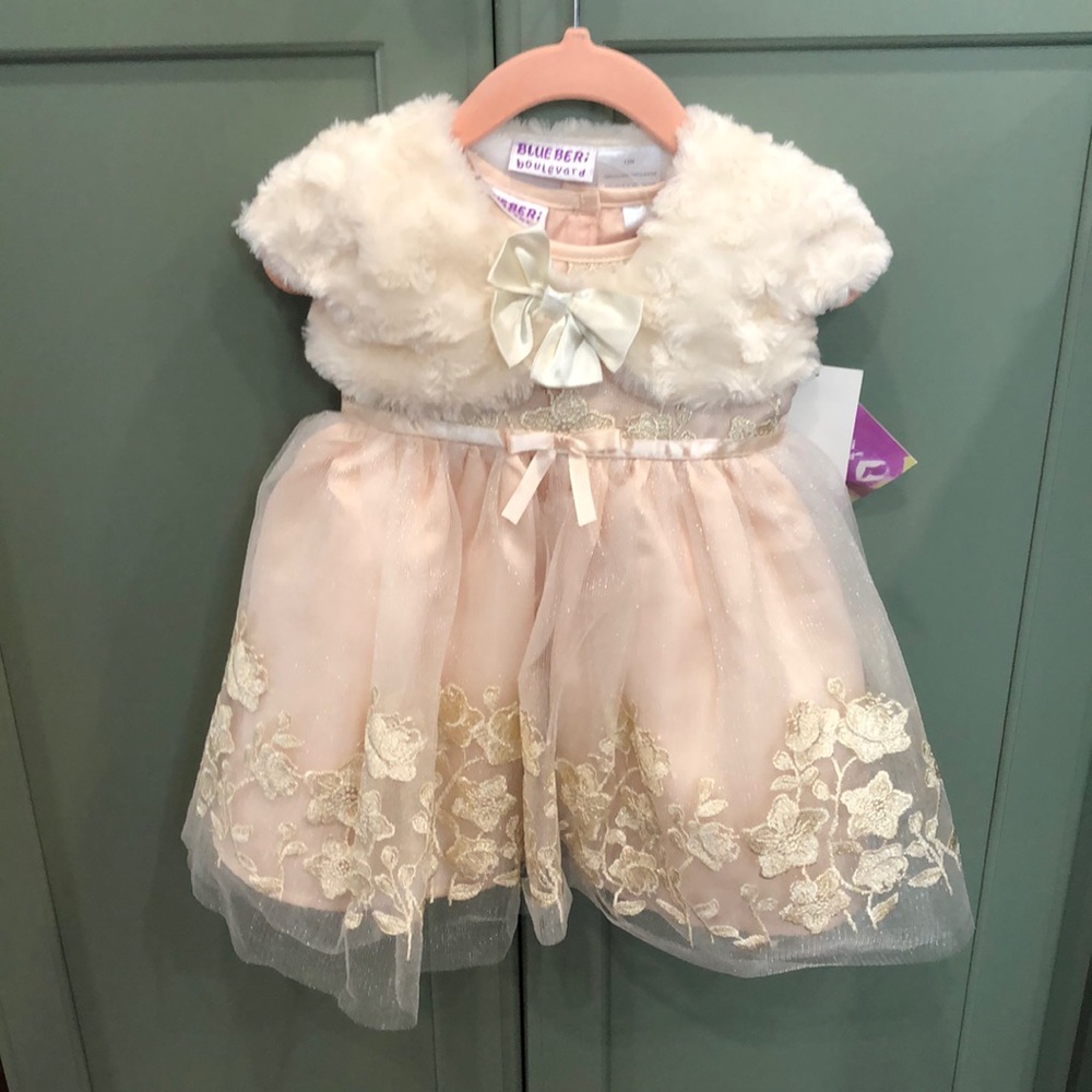NWT 12m 2pc dress in blush